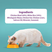 Burns Kitten Chicken & Rice Dry Cat Food