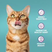 Burns Adult & Senior Cat Original Chicken Dry Cat Food
