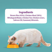 Burns Adult & Senior Cat Original Chicken Dry Cat Food