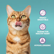 Burns Adult & Senior Cat Original Turkey Dry Cat Food