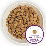Burns Adult & Senior Cat Original Turkey Dry Cat Food