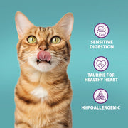 Burns Adult & Senior Cat Sensitive Duck & Potato Dry Cat Food