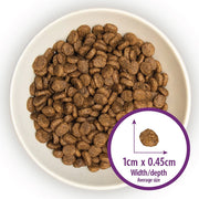 Burns Adult & Senior Cat Sensitive Duck & Potato Dry Cat Food