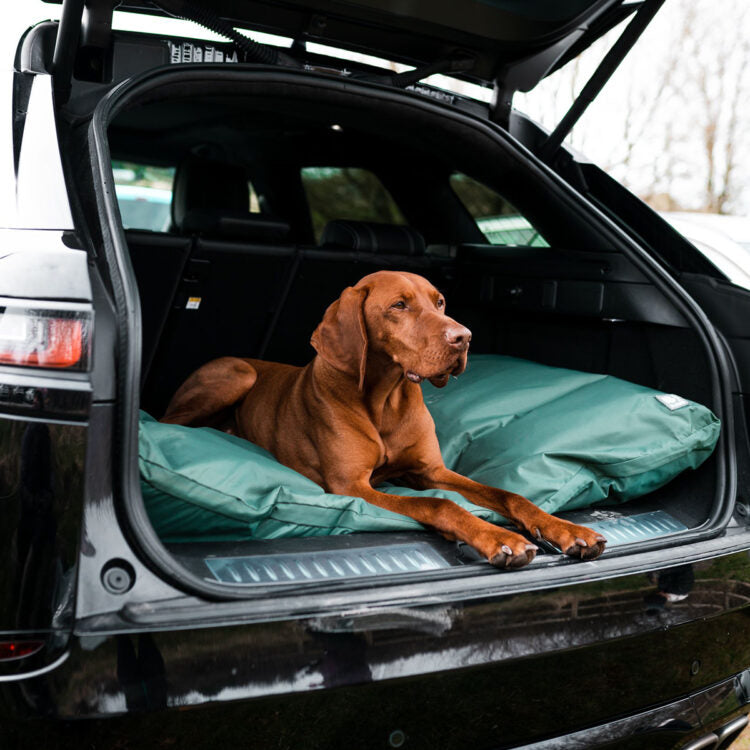 Danish Design Country Duvet Waterproof Green Dog Bed