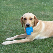 Danish Design Cooling Ice Cream Dog Toy