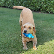 Danish Design Cooling Ice Cream Dog Toy
