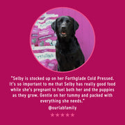 Forthglade Cold Pressed Grain Free Salmon Dry Dog Food