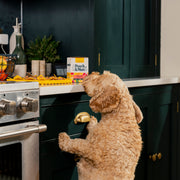 Pooch & Mutt Chicken and Beef Grain Free Dog Food