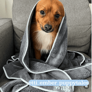 Henry Wag Microfibre Cleaning Towel