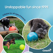 Company Of Animals Coachi Boomi Ball Dog Toy