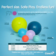 Company Of Animals Coachi Boomi Ball Dog Toy