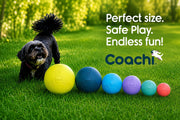 Company Of Animals Coachi Boomi Ball Dog Toy