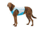 Ruffwear Swamp Cooler Zip™ Vest Biolumin Blue