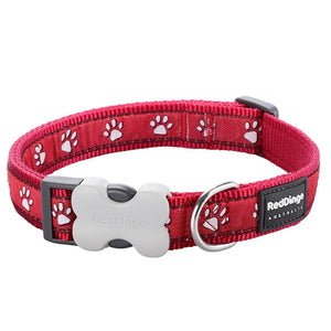 Red Dingo Desert Paw Red Dog Collar