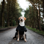 Danish Design 2 in 1 Ultimate Dog Coat Black
