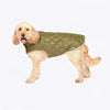 Danish Design Fatface Sussex Wax Dog Coat