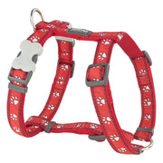 Red Dingo Desert Paw Red Dog Harness