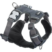 Red Dingo Padded Grey Dog Harness