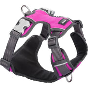Red Dingo Padded Hot Pink Dog Harness