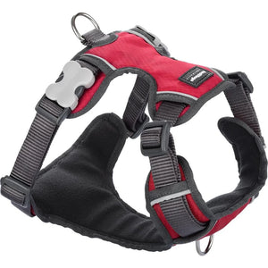 Red Dingo Padded Red Dog Harness