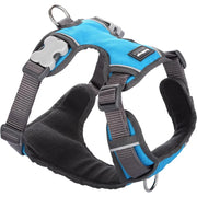 Red Dingo Padded Turquoise Dog Harness