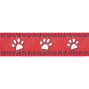Red Dingo Desert Paw Red Dog Collar