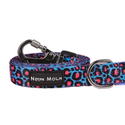The Willow Lead