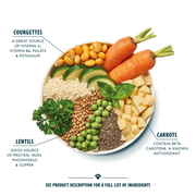 Lily's Kitchen Vibrant Rainbow Stew Dog Food