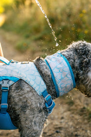 Ruffwear Swamp Cooler Neck Gaiter for Dogs Biolumin Blue