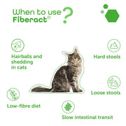 MP Labo Fiberact