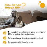 MP Labo Hepa+ MP Liver Support 60 Capsules
