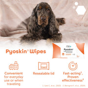 MP Labo Pyoskin Chlorhexidine Wipes