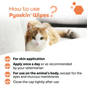 MP Labo Pyoskin Chlorhexidine Wipes