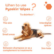 MP Labo Pyoskin Chlorhexidine Wipes