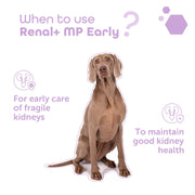 MP Labo Renal+ MP Early 20g