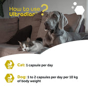 MP Labo Ultradiar 20 Capsules