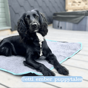 Henry Wag Easy Roll Travel Bed