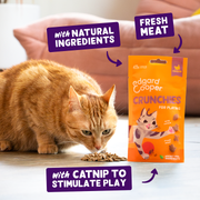 Edgard Cooper Cat Chicken Crunchies Treats
