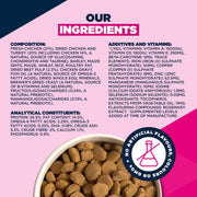 Eukanuba Puppy Large Breed Chicken Dry Dog Food