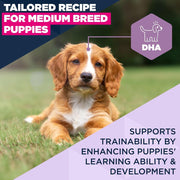 Eukanuba Puppy Medium Breed Chicken Dry Dog Food
