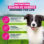 Eukanuba Puppy Medium Breed Chicken Dry Dog Food