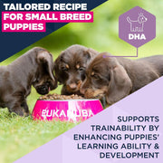Eukanuba Puppy Small Breed Chicken Dry Dog Food