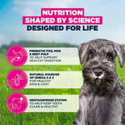 Eukanuba Puppy Small Breed Chicken Dry Dog Food