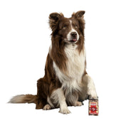 Kiwi Walker Freeze-Dried Beef Dog Treats