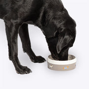 Danish Design Fatface Marching Dogs Pet Bowl