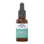 Dorwest Fragaria 3c