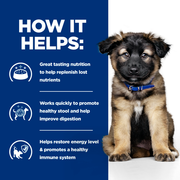 Hill's Prescription Diet i/d Digestive Care Puppy Dry Dog Food