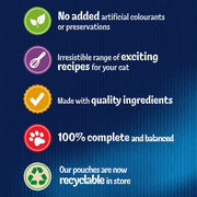 Felix As Good As It Looks Kitten Mixed Selection Wet Cat Food