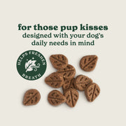 Forthglade Fresh Breath Soft Bites Dog Treats
