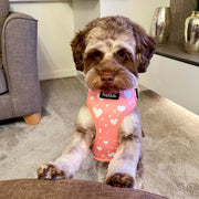 PupClub Adjustable Harness - Peachy Hearts